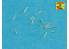 Aber 700L40 Set de 16 futs de canons 3,7cm Flak 42 pour navires Allemands 1/700