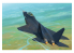 TRUMPETER maquette avion 01666 SHENYANG J-31 "GYRFALCON" 2014 1/72