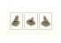 Cmk kit d'amelioration Q72299 Siège P-40E/ K/M and N-1 avec ceinture pour kit special hobby 1/72