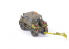 CMK kit resine 8055 Unimog U406 DoKa Remorqueur d'avions militaires de la Bundeswehr avec Attelage 1/35