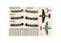 Master CRAFT maquette avion 042022 P-40E Aleutian Tiger 1/72