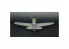 Master CRAFT maquette avion 042022 P-40E Aleutian Tiger 1/72