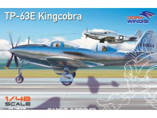 Dora Wings maquette avion DW48003 Bell TP-63E Kingcobra 1/48