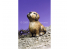 Alpine figurine 35080 Ensemble d'équipage blindé britannique (2 figurines et chiot) 1/35