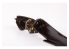 Eduard photodecoupe avion SS708 Zoom amélioration Hurricane Mk.IIc Arma Hobby 1/72