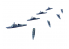 Fujimi maquette bateau 401645 The 4th Guard of the Maritime Self Defense Force 1998 1/3000
