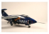 Planet Model PLT249 XF10F-1 Jaguar "Swing Wing" full resine kit 1/48