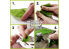 Green Stuff 508291 Tapis d'Herbe Vert Foncé