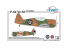 Planet Model PLT239 P-64/ NA-68 "US Fighter" full resine kit 1/48