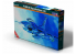 MASTER CRAFT maquette avion 040826 F-16D-30'Spangdahlem A.B. 1/72