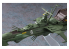 Hasegawa maquette 64520 Albator Space Pirate Battleship Arcadia extrait de "Galaxy Express 999 le film" 1/2500