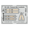 EDUARD photodecoupe avion FE1208 Harnais m&eacute;tal Tempest Mk.II Eduard 1/48