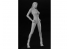 Hasegawa maquette figurine 52304 12 Collection de figurines réelles n ° 11 "Girls Rider Vol.2" 1/12