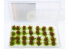 AmazingART 15962 Grosses Touffes d'herbe fleurie de 13mm