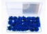 AmazingART 12305 Grosses Touffes d'herbe fleurie Bleue de 13mm