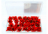 AmazingART 16136 Grosses Touffes d'herbe fleurie rouge de 13mm