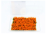 AmazingART 10585 Gosses Touffes d'herbe vert fleurs Orange de 13mm