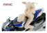 MENG SPS-084 Figurine Racer Girl aussi rapide que l'éclair sur la piste de course 1/9