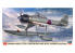 Hasegawa maquette avion 07510 Nakajima A6M2-N chasseur de surface de type 2 "Sasebo Air Corps" 1/48
