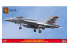 Hasegawa maquette avion 02417 F/A-18E Super Hornet "VFA-87 Golden Warriors CAG 2019" 1/72