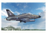 AA Models maquette avion 7227 Chasseur multirôle léger Hawk 200 (numéro d'enregistrement: ZG200) 1/72