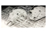 Revell maquette Star Wars 05659 COFFRET CADEAU "Millennium Falcon" avec accessoires de base 1/72