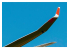 Brengun kit d'amelioration avion BRL48174 Planeur DG-1000 - winglets 20m kit Brengun 1/48