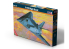 MISTER CRAFT maquette avion 050054 F-117A Night Hawk 1/72