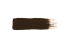 AK peinture a l'huile AKABT006 Terre d'ombre brûlée brun délavé 20ml