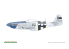 Eduard Decalques avion D72053 P-51D-5 "8th AF" Eduard 1/72