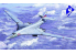 Trumpeter maquette avion 01620 TUPOLEV TU-160 "BLACKJACK" 1/72