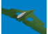 Eduard kit d'amelioration avion brassin Print 6481085 P-40 réservoir largable 52gal Eduard 1/48