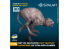 Spalah kit figurine SP16335 ensemble de chat mutant « Bayun » de l'univers du jeu STALKER SPALAH 1/35