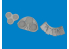 Eduard kit d'amelioration avion brassin Print 6481097 Set amélioration radiateurs P-40E Eduard 1/48