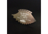 Alexen Models AJ0010 Plaque de raclage Modèles à l'échelle 1/72 et 144/grattoir de ligne de moulage pour débutants