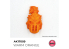 Ak interactive peinture acrylique 3G AK17009 ORANGE CHAUD QUICK GEN COLOR 18ml