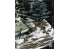 RT-Diorama 35471 Sapin n°1 1/35