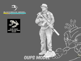Blacksnake Model figurine SEALS-01 Opérateur Navy Seals Matthew "Axe" 1/35