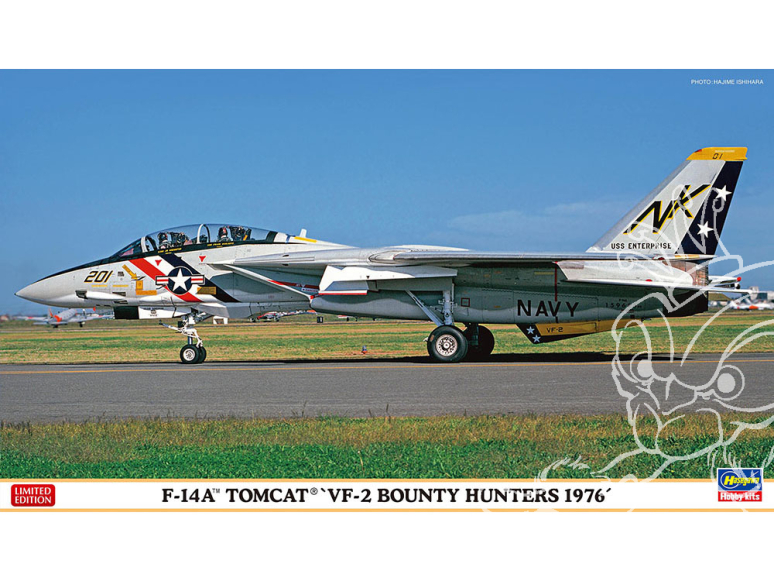 Hasegawa maquette avion 02491 F-14A Tomcat VF-2 Chasseurs de primes 1976&nbsp;1/72