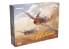 EDUARD maquette avion 11187 Kittyhwak Edition Limitée Dual Combo 1/48