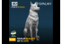 Spalah kit figurine SP19535 Chien 1/35