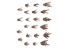 AK interactive AK BASING BITS AKBIT0018 BULLET IMPACT FX