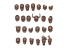 AK interactive AK BASING BITS AKBIT0009 CRÂNES