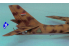 Trumpeter maquette avion 01612 TU-16K-26 "BADGER" G 1/72