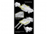 Dragon maquette militaire 6711 Sd.Kfz.10/4 fur 2cm FlaK 30 avec remorque a munitions 1/35