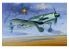 Focke-Wulf FW190D-12 1/48 maquette avion Hobby Boss 81719