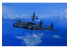 Hobby Boss maquette avion 81731 Northrop P-61B Black Widow 1/48