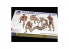 Bronco maquette militaire CB 35140 Groupe d'observation Britannique WWII 1/35