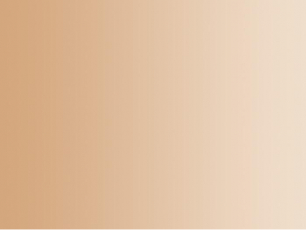 Vallejo Peinture Acrylique Model Air 71117 Camouflage marron RAL8020 17ml