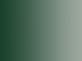 Vallejo Peinture Acrylique Model Air 71018 Vert noir Camouflage FS36081 - RAL7026 17ml